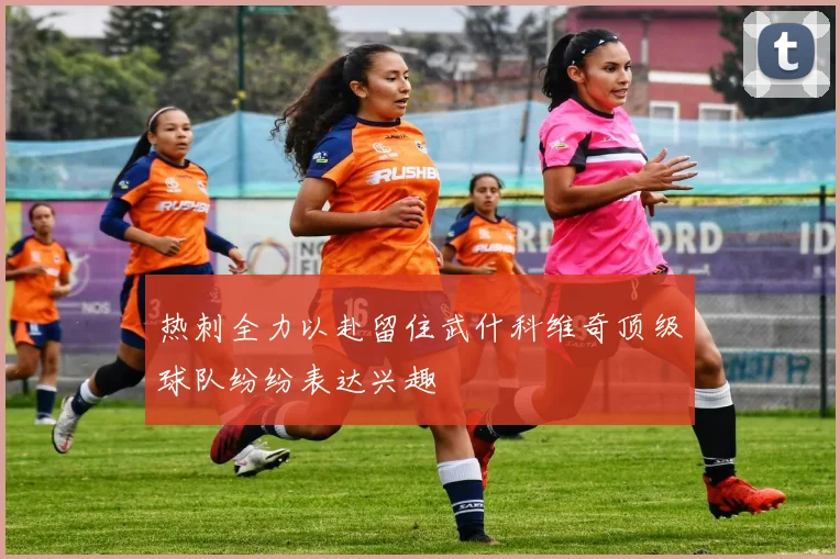 热刺全力以赴留住武什科维奇顶级球队纷纷表达兴趣