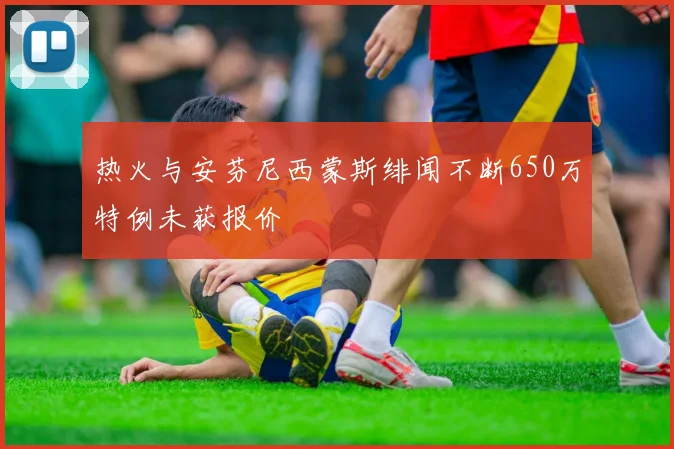 热火与安芬尼西蒙斯绯闻不断650万特例未获报价